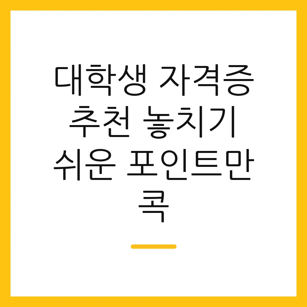 대학생 자격증 추천 놓치기 쉬운 포인트만 콕